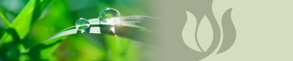 San Diego - Acupuncture Wellness - inspiremyhealing.com